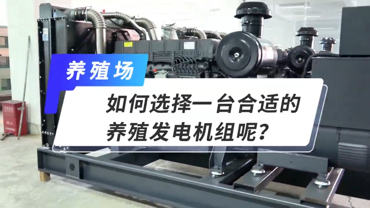 「視頻」如何選擇一臺(tái)合適的養(yǎng)殖發(fā)電機(jī)組呢？